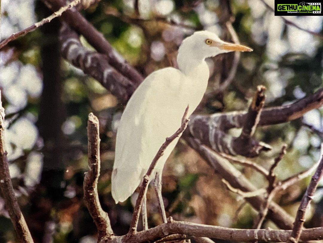 Sunder Ramu Instagram - One of the earliest images of me as a photographer and the images I shot on that trip.