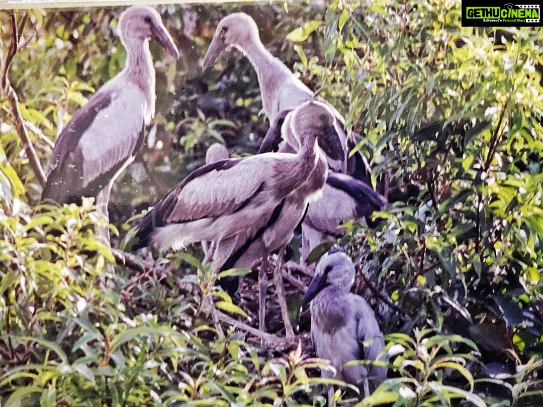 Sunder Ramu Instagram - One of the earliest images of me as a photographer and the images I shot on that trip.