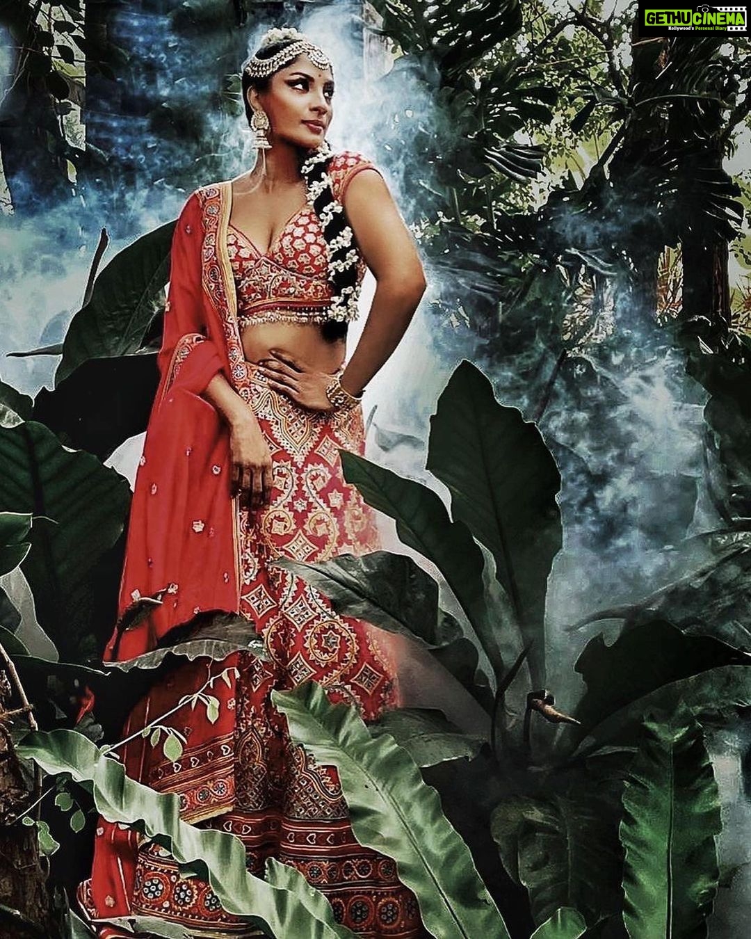 Sunder Ramu Instagram - Posted @withrepost • @sriya_reddy In sunder’s beautiful studio #arkanza Posted @withrepost • @sriya_reddy 📸 @soondah_wamu Stylist : @niru05_raghupathy Makeup : @prakatwork Hair : @esy_hmangaihzuali Jewellery: @tribebyamrapali Outfit : @asalabusandeep @abujanisandeepkhosla