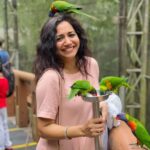 Sunitha Upadrashta Instagram –