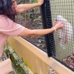 Sunitha Upadrashta Instagram - Love has no barrier.. I am sure I had a great bond and connection with this lil beautiful bird. Now It’s like a reunion. People ask me often what makes you happy ani.. and I tell them. Please watch this video.
