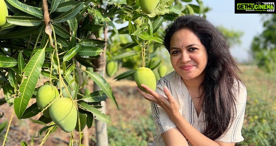 Sunitha Upadrashta Instagram - My god.. people are crazy.. I posted a picture today with my first mango crop and the news spreads like this. Stop assuming things and spreading rumours🙏🏻🙏🏻🙏🏻 Dhandam ra nayana..