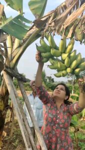 Sunitha Upadrashta Instagram - Joy of farming😊