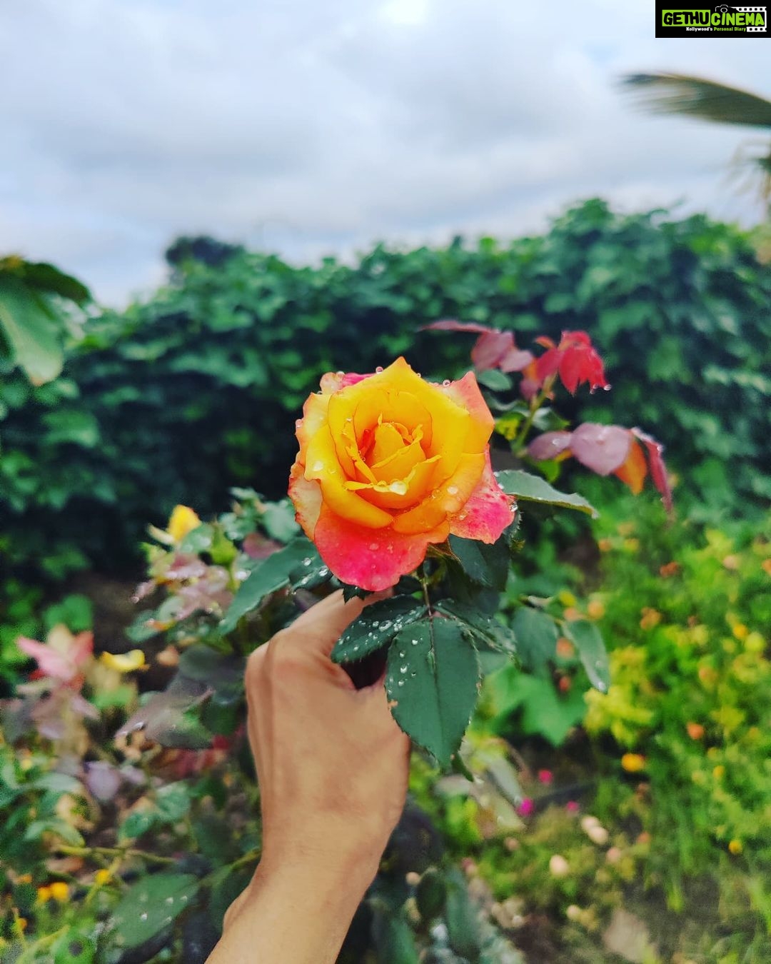 Sunitha Upadrashta Instagram - Feelings and emotions are like dewdrops.. they just stay for a fleeting moment and evaporate.