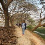 Surabhi Lakshmi Instagram – A peaceful and radiant walk through the lush green lanes of Manasagangotri, Mysore 💚

#ThrowbackTuesday #TravelTuesday #Memories #Takemeback Manasagangothri