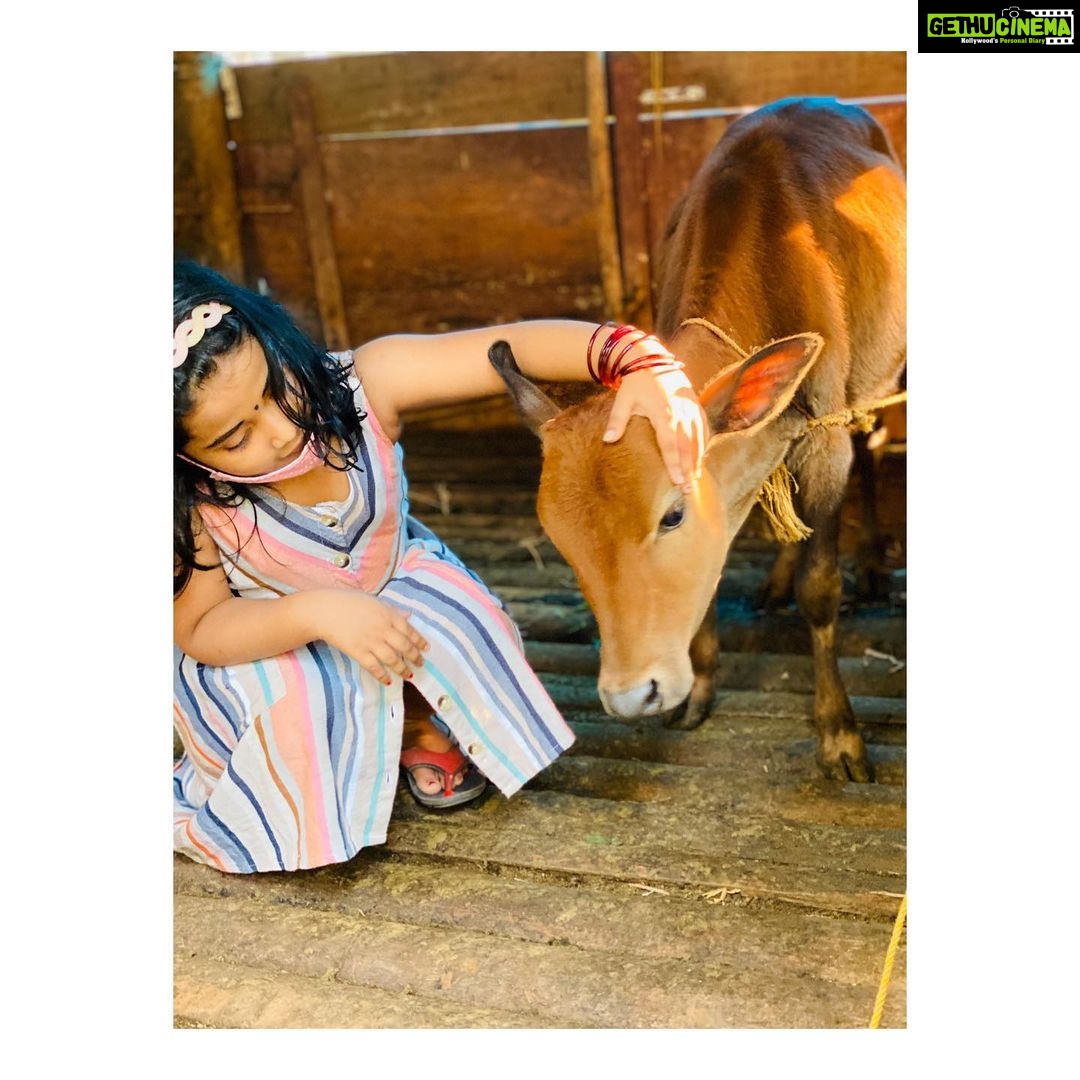 Surabhi Lakshmi Instagram - ചിന്നു കിടാവിന് ഒപ്പം ഇത്തിരി നേരം