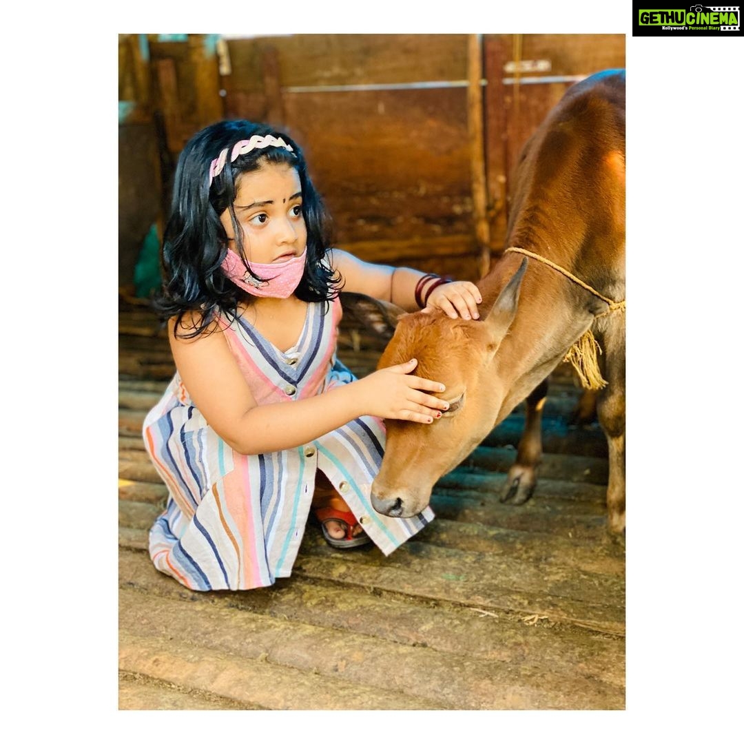 Surabhi Lakshmi Instagram - ചിന്നു കിടാവിന് ഒപ്പം ഇത്തിരി നേരം