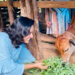 Surabhi Lakshmi Instagram – പ്രസവത്തിന്റെ മൂന്നാമത്തെ ദിവസം സുന്ദരി പശു ഞങ്ങളെ വിട്ടുപോയി  അമ്മയില്ലാതായ  ഞങ്ങളുടെ ♥️ചിന്നുക്കുട്ടി♥️..