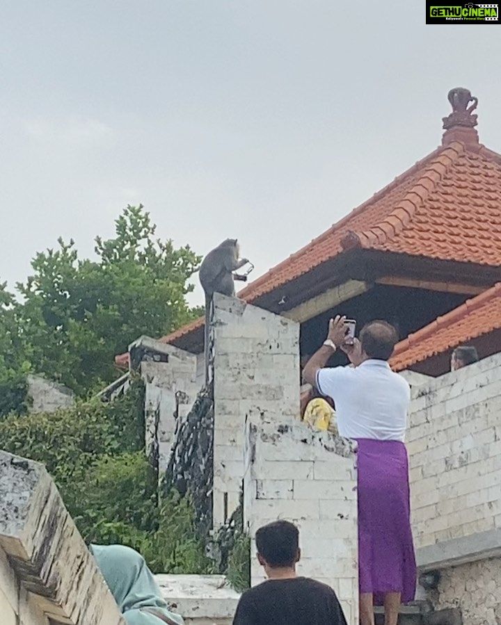Surabhi Santosh Instagram - Uluwatu Temple was the last stop in my two week trip. It is definitely a must go! A walk through the scenic cliff during sunset just fills your soul. The cliff and sea beneath gives you a Varkala feel but the naughty and thieving monkeys will quickly make you realize that you are not in Kerala. And Iām not joking when I say that those monkeys will steal everything, from the specs resting on your head to your footwear if you leave it around, wallet and even your phone so saving your stuff from them takes a lot of effort and is an adventure in itself š SWIPE LEFT #Balistories #uluwatutemple #traveltips #scenicbeauty #adventure #laughs Uluwatu Temple, Uluwatu, Bali