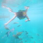 Surabhi Santosh Instagram - The fishes in the ocean say hi 🤍 Went on a early morning snorkelling adventure just off the coast of Gili Trawangan and boy oh boy!!! it was indeed one of the best experiences of my life! A mix of fear, excitement, adrenaline and awe… it was magic! Pure magic ✨ #momentstolivefor #beachbaby #snorkelling #GiliT #findingnemointheocean #wonderfulindonesia