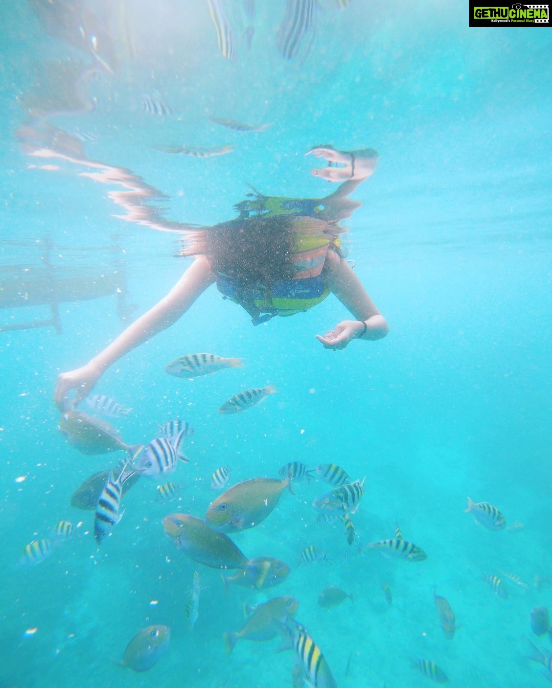 Surabhi Santosh Instagram - The fishes in the ocean say hi 🤍 Went on a early morning snorkelling adventure just off the coast of Gili Trawangan and boy oh boy!!! it was indeed one of the best experiences of my life! A mix of fear, excitement, adrenaline and awe… it was magic! Pure magic ✨ #momentstolivefor #beachbaby #snorkelling #GiliT #findingnemointheocean #wonderfulindonesia