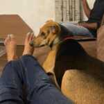 Surabhi Santosh Instagram - Have you met a dog whisperer?🤓 #Iwillstealyourdogsheart #dogwhisperer #bella #mydoggy #sweetgirl