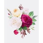 Surabhi Santosh Instagram - #Bloom