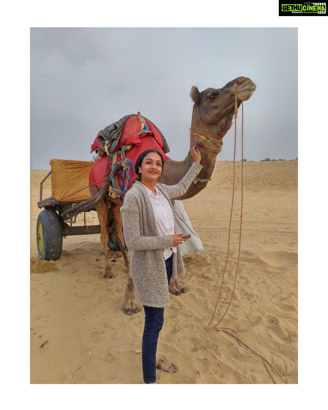 Surabhi Santosh Instagram - DON’T ENCOURAGE ANIMAL TOURISM!! But you don’t know how happy it makes me to see them😍 #DiariesOfAnAnimalLover #Camels #Rajasthan #CamelsOfRajasthan #DessertSafari #Sam #SunsetandSandDunes