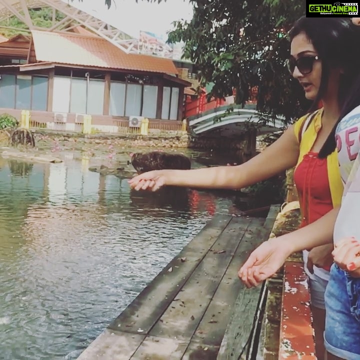 Surabhi Santosh Instagram - #everythinglooksbetterinslowmotion 💫