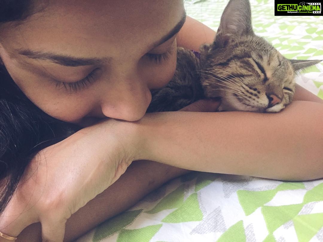 Surabhi Santosh Instagram - She makes home so much more loavable❤️ #mygirl #bff #catlove