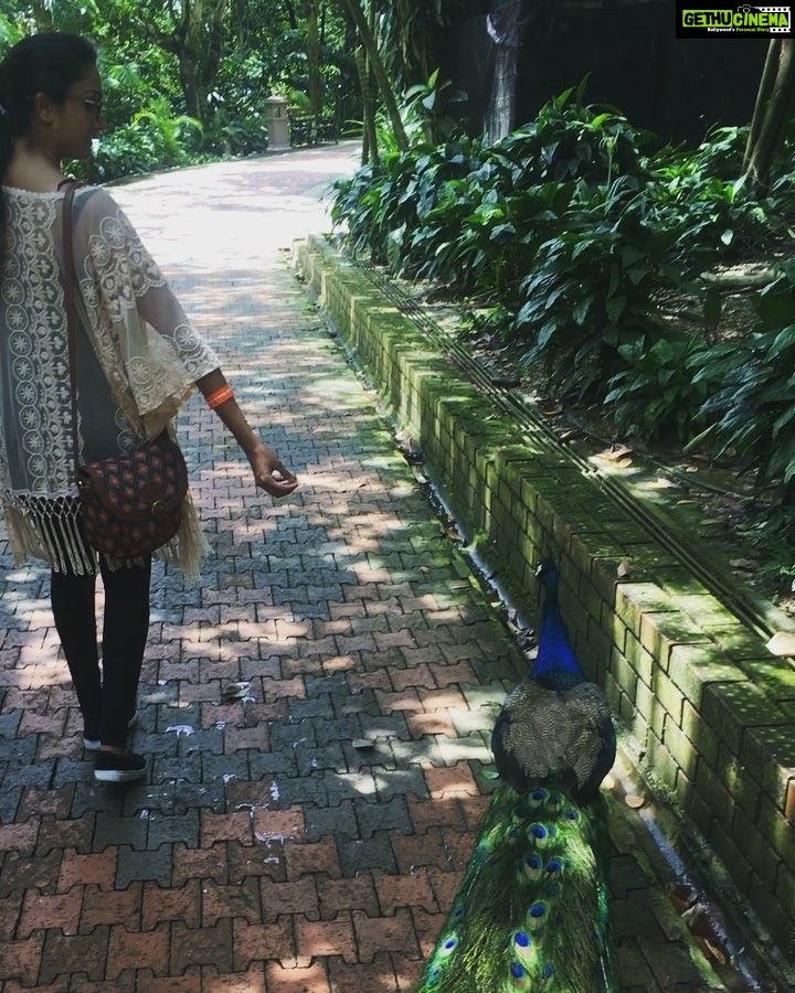 Surabhi Santosh Instagram - #snowwhitemoment #fairytalelike #klbirdpark #malaysianstories ❤️