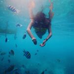 Surabhi Santosh Instagram - The fishes in the ocean say hi 🤍 Went on a early morning snorkelling adventure just off the coast of Gili Trawangan and boy oh boy!!! it was indeed one of the best experiences of my life! A mix of fear, excitement, adrenaline and awe… it was magic! Pure magic ✨ #momentstolivefor #beachbaby #snorkelling #GiliT #findingnemointheocean #wonderfulindonesia