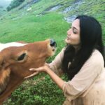 Surabhi Santosh Instagram - Cuz we share a special bond #cowsofinstagram #lovethosebigeyes 😍😍😍