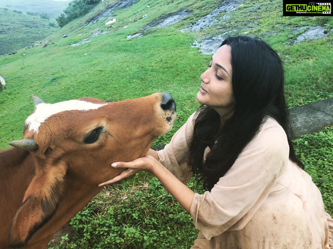 Surabhi Santosh Instagram - Cuz we share a special bond #cowsofinstagram #lovethosebigeyes 😍😍😍