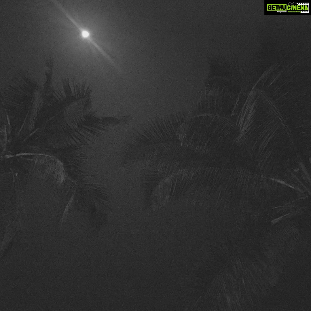 Surabhi Santosh Instagram - #sleepingunderthestars #lifegoals #tick✅ Colva Beach , South Goa