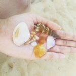 Surabhi Santosh Instagram - #collectorsitem #goandiaries #morningwalks