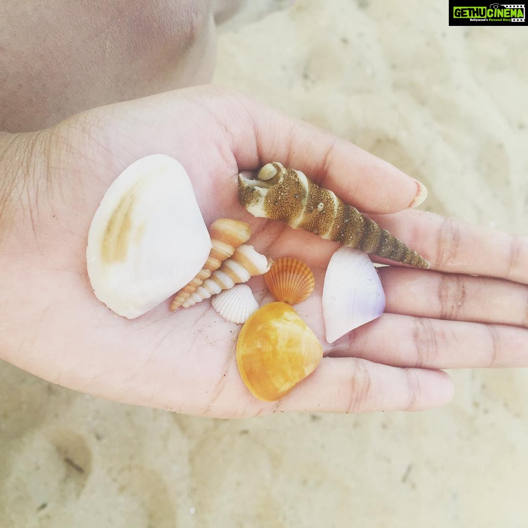 Surabhi Santosh Instagram - #collectorsitem #goandiaries #morningwalks