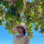Sushma Raj Instagram – 🌴☀️🌊 Oahu, Hawaii