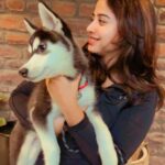 Swathi Deekshith Instagram – 🐶 ❤️