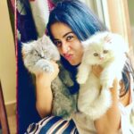 Swathi Deekshith Instagram – Meet oscar and taco 🐈🐈💓💓 
🐾 🐱🐱