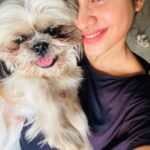 Swathi Deekshith Instagram - Selfie time :) with whiskey pusky bujji❤️ #shihtzusofinstagram #shihtzulovers