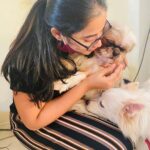 Swathi Deekshith Instagram – Hugs and kisses 😘 
.
.
my babies @whiskeybujji #kizzi 
#dogsofinstagram #shihtzu #shihtzusofinstagram #whiskeybujji #kizzibujji #lovedogs #dogsarefamily #dogsarethebest