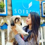 Swathi Deekshith Instagram - 💓 🐶 whiskey !!! Sofrehh