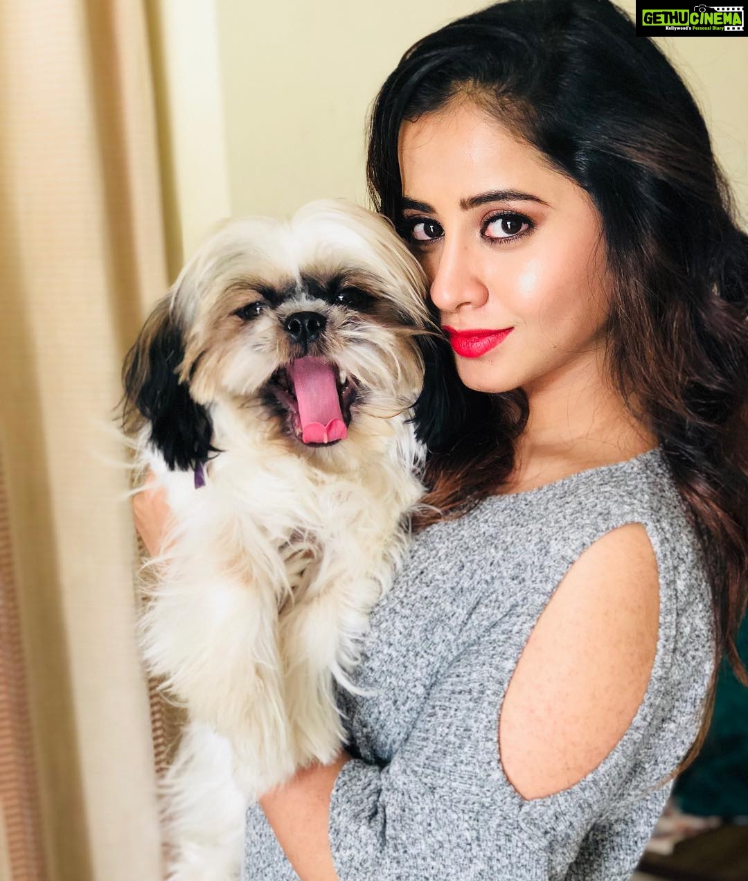 Swathi Deekshith Instagram - ♥️ #bujjiwhiskey😍 #whiskeypuppy🐶 #shihtzu