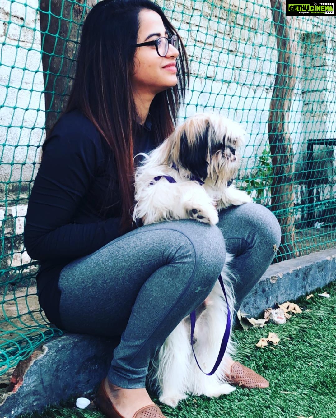 Swathi Deekshith Instagram - Throw back to My lil boy’s day out pictures!guess my boy had fun time watching cricket ..!! He is Looking forward to play soon ..😅🐶 #bujjiwhiskey😍 The Street