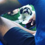 Swathi Deekshith Instagram - Throw back to My lil boy’s day out pictures!guess my boy had fun time watching cricket ..!! He is Looking forward to play soon ..😅🐶 #bujjiwhiskey😍 The Street