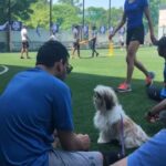 Swathi Deekshith Instagram - Throw back to My lil boy’s day out pictures!guess my boy had fun time watching cricket ..!! He is Looking forward to play soon ..😅🐶 #bujjiwhiskey😍 The Street
