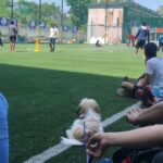Swathi Deekshith Instagram - Throw back to My lil boy’s day out pictures!guess my boy had fun time watching cricket ..!! He is Looking forward to play soon ..😅🐶 #bujjiwhiskey😍 The Street