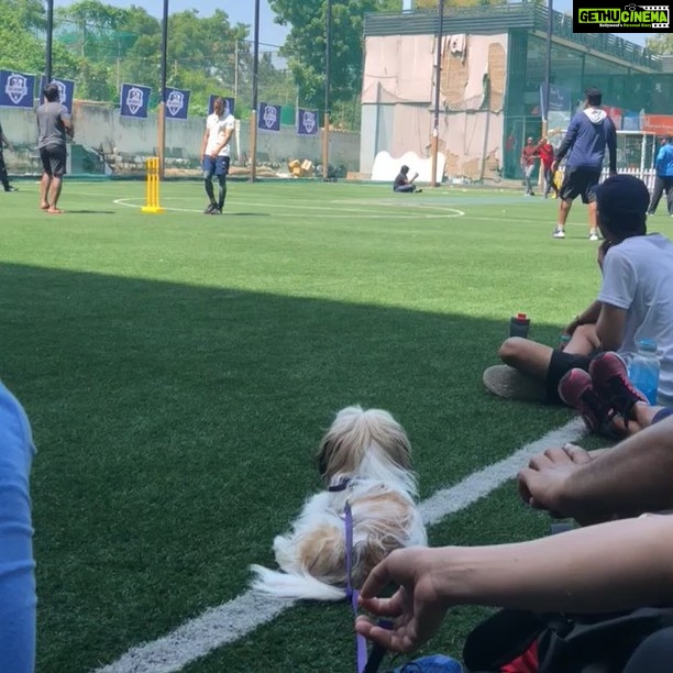 Swathi Deekshith Instagram - Throw back to My lil boy’s day out pictures!guess my boy had fun time watching cricket ..!! He is Looking forward to play soon ..😅🐶 #bujjiwhiskey😍 The Street