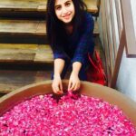 Swathi Deekshith Instagram - #happiness #goodfood #smilingface #liveyourbestlife #womenpower