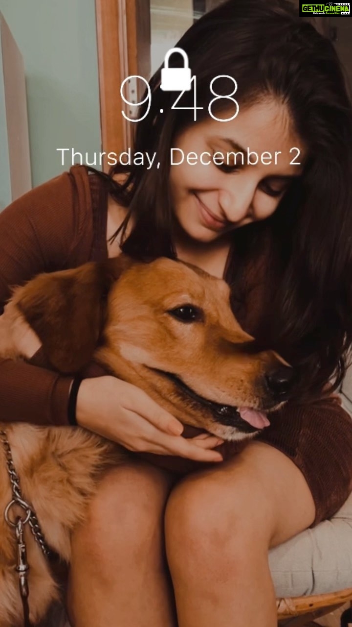 Vaishnavi Ganatra Instagram - he is literally my lock screen 🥺🐶💗 #bannare #iphonelockscreen #dogs #dogsofinstagram #dogstagram #doglovers #puppylove #pet #cute #instagram #petstagram #petsofinstagram #animals #insta #explore #explorepage #reelkarofeelkaro #reelitfeelit #trend #trendingreels #reelsontrend #fyp #foryou #foryoupage #positive #positivevibes #gratitude