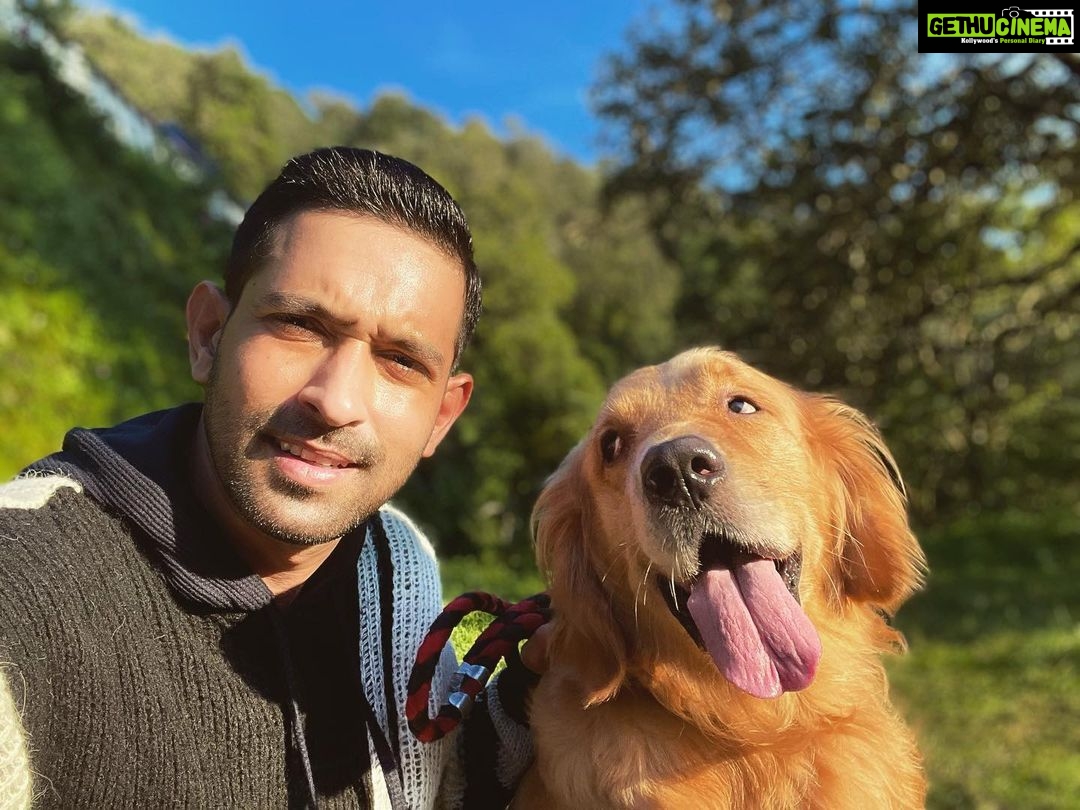 Vikrant Massey - 155.5K Likes - ✨ Please welcome the newest member of our team, Bruno!!! 🐶🥰♥️✨
#Forensic
