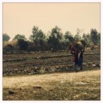 Vikrant Massey Instagram – #UttarPrasesh #Barabasti #Winters #GoldenDust #WomanPower #KeepWalking #Travel #Love #Life #Shukr @kabeer737