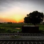 Vikrant Massey Instagram - #UttarPradesh #PhotoOnTheMove #Sunset #MangoTree #Green #Nature #OpenFields #Travel #Train #Explore #Happiness #Live #Life #Shukr