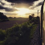 Vikrant Massey Instagram - #UttarPradesh #MughalSarai #Train #Sunset #Farms #Green #Nature #PhotoOnTheMove #Travel #Happiness #Live #Life #Shukr