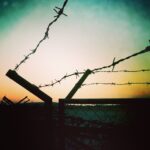 Vikrant Massey Instagram – #decrepit #fencing #morbid #stoicism #schadenfreude