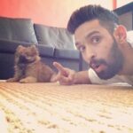 Vikrant Massey Instagram - #kuttekabaccha##Risky#ultrahyper#superselfie
