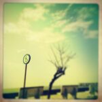 Vikrant Massey Instagram - 🌟 A drive down memory lane 🌟