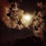 Vikrant Massey Instagram -