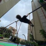 Vivek Dahiya Instagram – Day 2 of front lever progression with 1-2 secs hold. Aiming to get to 15 secs in the next one month. 

Calisthenics ❤️